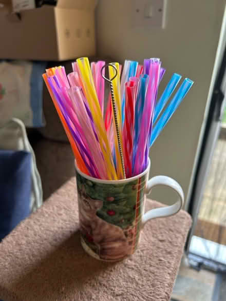 Photo of free 28 straws & 1 cleaning brush (Jennetts park RG12) #1