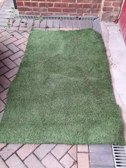 Photo of free Artificial grass offcut (Abingdon-on-Thames OX14) #1