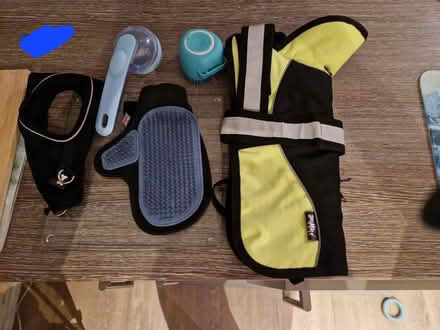 Photo of free Various doggy items (Pr2, 3) #1