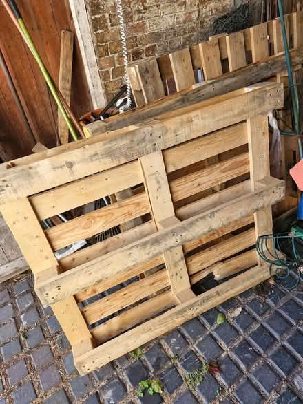 Photo of free 6 Wood Pallets (Chirk LL14) #1