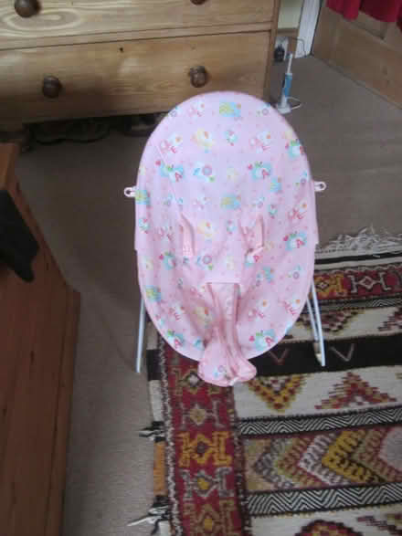 Photo of free Baby bouncer (Cadoxton-juxta-Neath SA10) #1
