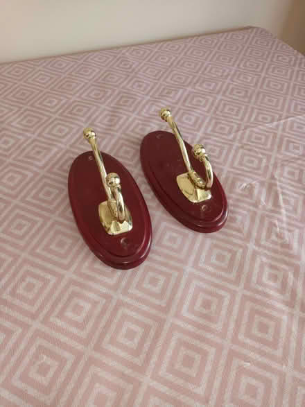 Photo of free Coat hooks (Woodley RG5) #1
