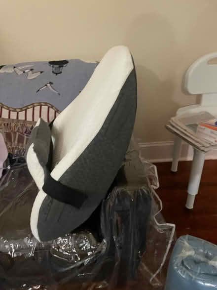 Photo of free Back support cushion (Front and Market Sts 19106) #1