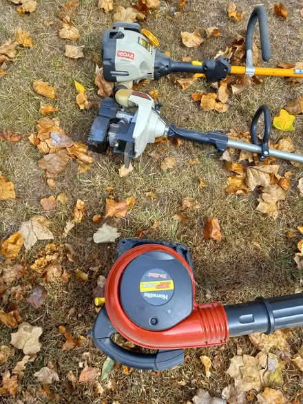 Photo of free Lawn (63122) #1