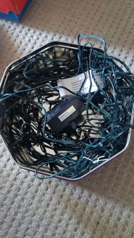 Photo of free Christmas lights white flashing/pulsing (Queen Edith's Ward CB1) #1