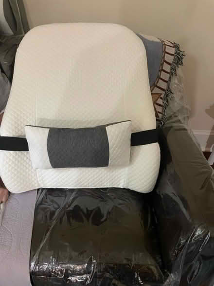 Photo of free Back support cushion (Front and Market Sts 19106) #2