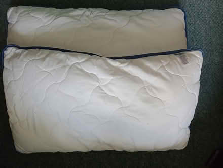 Photo of free 2 x pillows (pet bedding?) (Carrington M31) #1