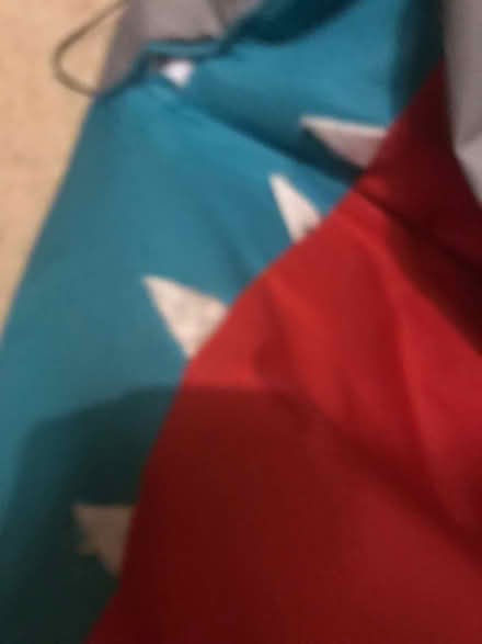 Photo of free Shark bean bag (Birch CO2) #2