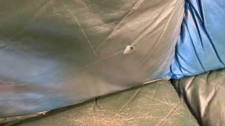 Photo of free Green leather couch (West Seattle) #3