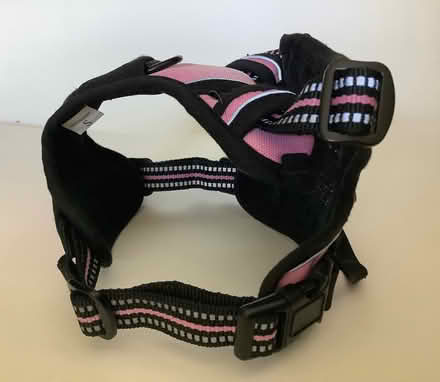 Photo of free rabbitgoo small size dog harness (Westcott, Dorking RH4) #2