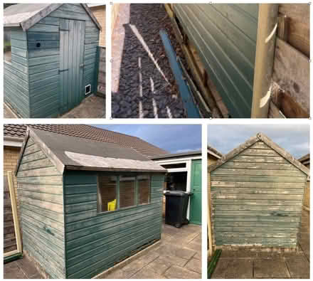 Photo of free Green wooden shed (Woodthorpe YO24) #2