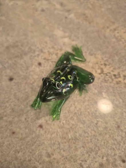 Photo of free Decorative Glass Frog (Abington) #1