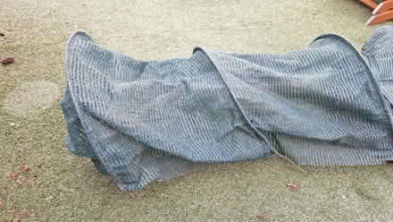 Photo of free Garden mesh tunnel (Abingdon-on-Thames OX14) #2