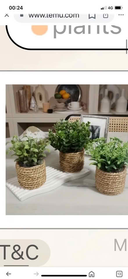 Photo of Faux/Fake Ferns (CT11) #1