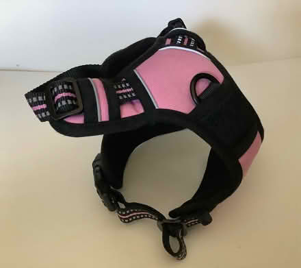 Photo of free rabbitgoo small size dog harness (Westcott, Dorking RH4) #3