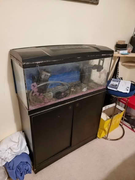 Photo of free 80 litre fish tank with cupboard (Bathford, BA1) #1
