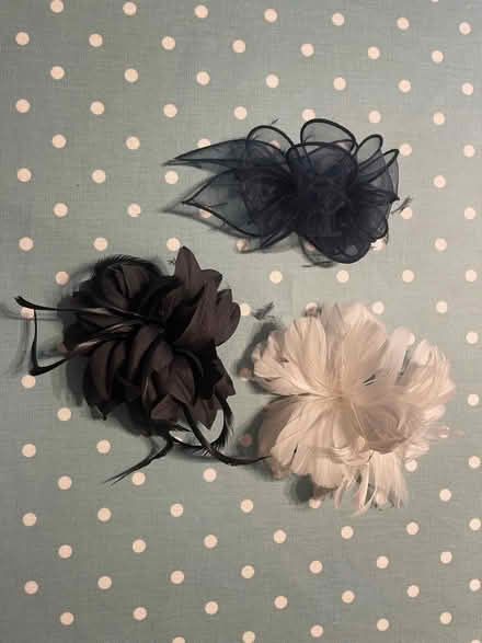 Photo of free Fascinator’s (Penrith CA11) #1
