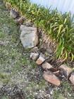 Photo of free Garden rocks; Red Hill #1