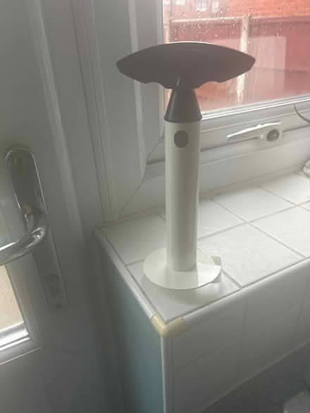 Photo of free Pineapple Corer (Pendine Close WA5) #1