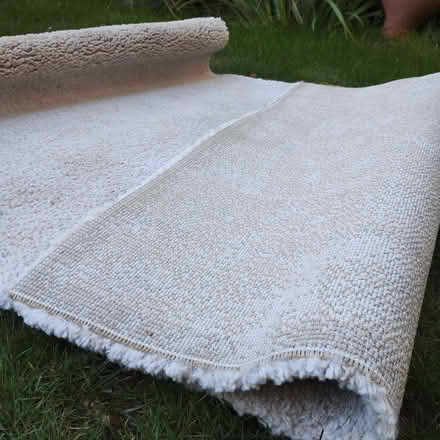 Photo of free Soft Cream Rug (Rayleigh SS6) #1