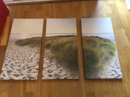 Photo of free Triptych of wall prints (Noctorum CH43) #1