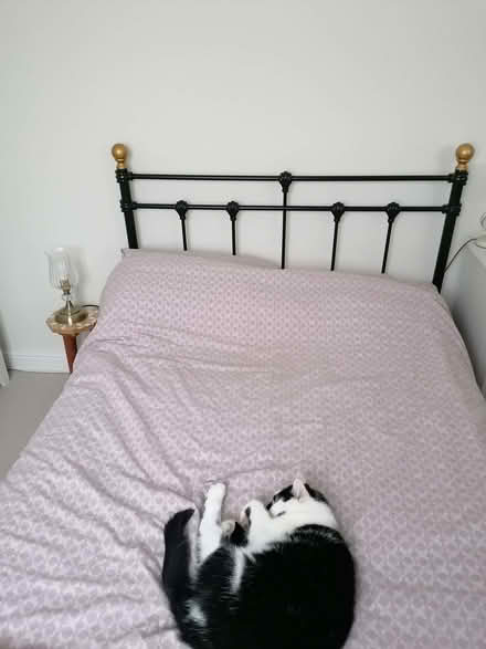 Photo of free Small double bed frame (Malvern Hills WR14) #3