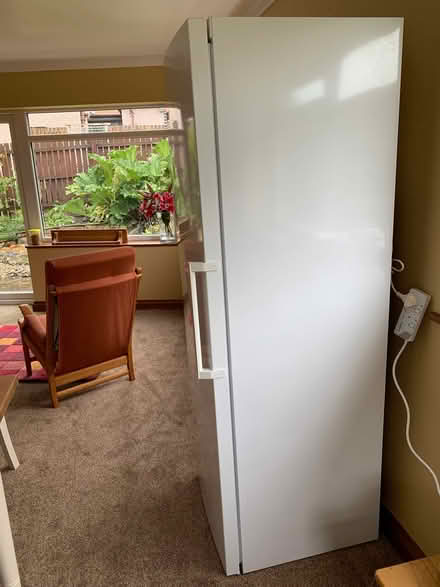 Photo of free Bosch full height fridge (Penrith CA11) #2
