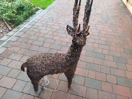 Photo of free Wicker Reindeer (Old Town TN40) #1