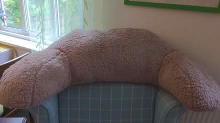 Photo of free Back Support Cushion (BN8) #1