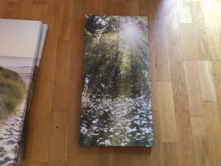 Photo of free Photo print of light breaking through a forest (Noctorum CH43) #1