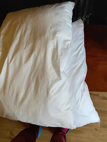 Photo of free 1 or 2 old pillows (Headington OX3) #1
