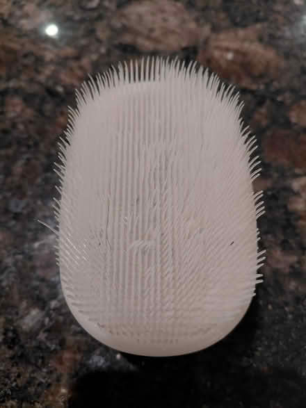 Photo of free Wilbarger Protocol Therapy Brush (Appleby/New Street, Burlington) #2