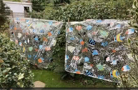 Photo of free Tropical fish shower curtain material - kids' activities? (Balsall Heath B13) #1