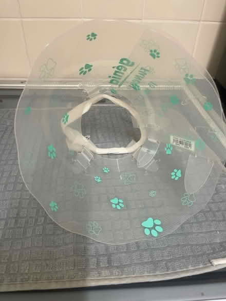 Photo of free Recovery collar for dogs (Derbyshire) #2