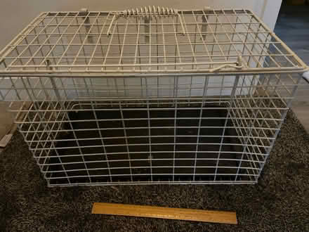 Photo of free Wire pet carrier x2 (Matlock DE4) #1