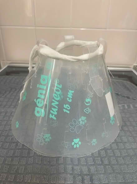 Photo of free Recovery collar for dogs (Derbyshire) #1
