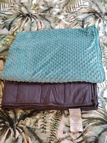 Photo of free Single weighted blanket (Little Chester DE1) #1