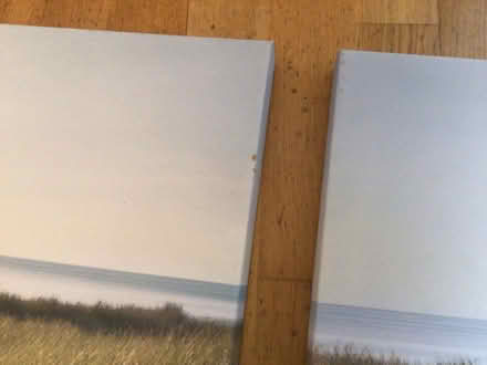 Photo of free Triptych of wall prints (Noctorum CH43) #2