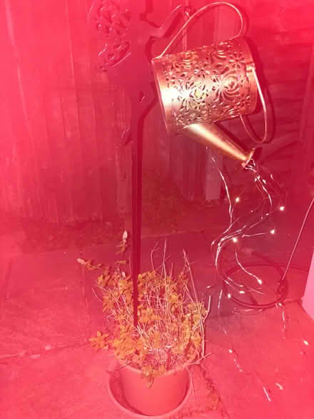 Photo of free Garden solar sparkling led lights (Shoreham-by-Sea BN43) #1