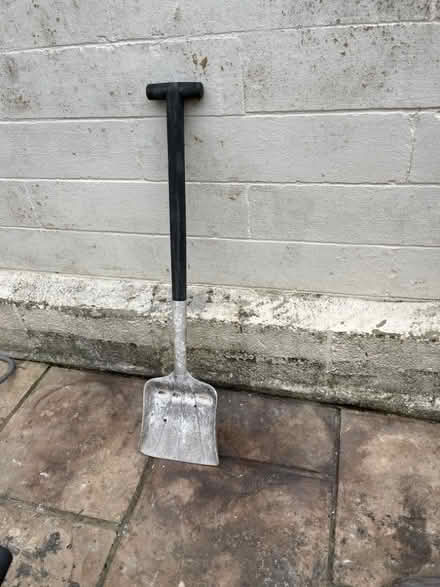 Photo of free Spade (Kingsway) #1