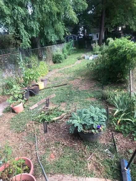 Photo of Wood chips/ yard waste (Frederick, MD) #1