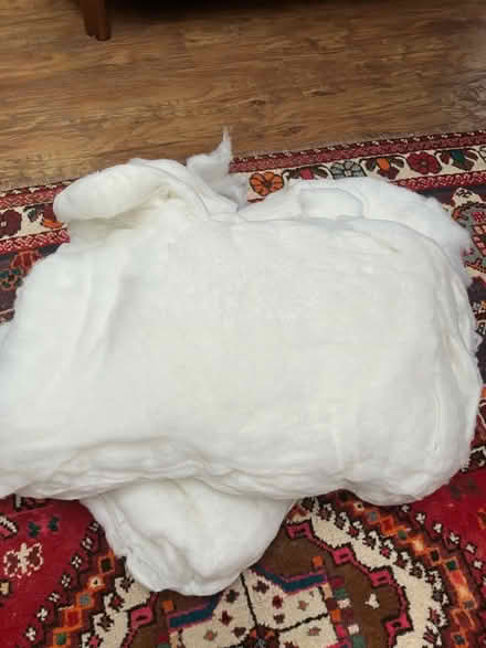 Photo of free Stuffing from pillows (Ruislip UB10) #1