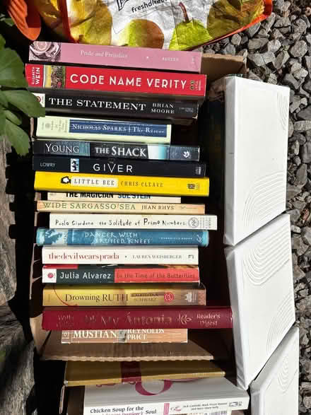 Photo of free Novels (Ossining) #1