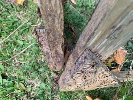 Photo of free Large Rabbit/Guinea pig run (Lissington LN3) #3