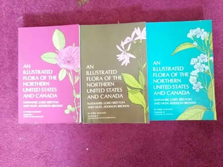 Photo of free Northern US flora illustrated 1970 (Ann Arbor near Hillside Terr.) #1