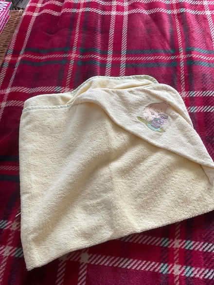 Photo of free Winnie-the-Pooh hooded baby bath towel. (Whitegrove RG12) #1