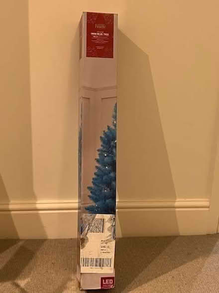 Photo of free Mini Christmas tree (Hyson Green NG1) #1