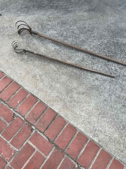 Photo of free gardening tools (Redwood City) #2