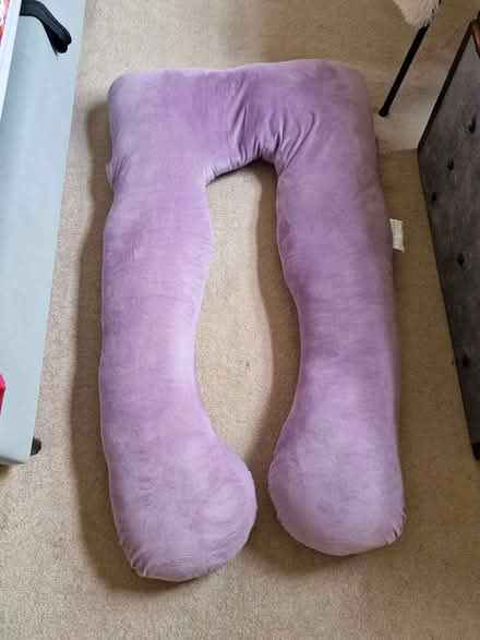 Photo of free Body pillow (Malvern Link WR14) #1