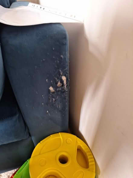 Photo of free 5 seater sofa bed with storage (BN41) #3